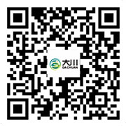 国产麻豆精品在线91麻豆国产观看